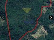 Terreno / Lote para Venda em São Paulo/SP Vila Rio Branco