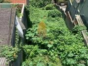 Terreno / Lote para Venda em São Paulo/SP Vila Romana