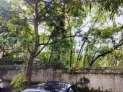 Terreno / Lote para Venda em São Paulo/SP Vila Suzana