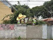 Terreno / Lote para Venda em São Paulo/SP Vila Tolstoi