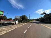 Terreno / Lote para Venda em São Pedro da Serra/RS Centro