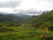 Terreno / Lote para Venda em São Pedro de Alcântara/SC...