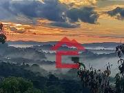 Terreno / Lote para Venda em São Roque/SP Centro Canguera