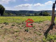 Terreno / Lote para Venda em São Roque/SP Centro Canguera
