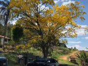 Terreno / Lote para Venda em São Roque/SP Gabriel Piza