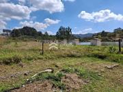 Terreno / Lote para Venda em São Roque/SP Juca Rocha...