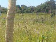 Terreno / Lote para Venda em São Sebastião do Oeste/MG...