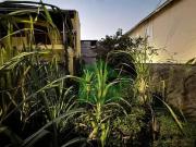 Terreno / Lote para Venda em São Sebastião/SP Canto do Mar