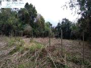 Terreno / Lote para Venda em São Sebastião/SP Jaraguá