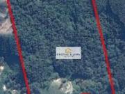 Terreno / Lote para Venda em Salesópolis/SP Centro