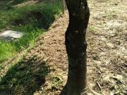 Terreno / Lote para Venda em Salto/SP Convívio Reconquista