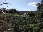 Terreno / Lote para Venda em Salvador do Sul/RS Bela Vista