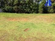 Terreno / Lote para Venda em Salvador/BA Alphaville I