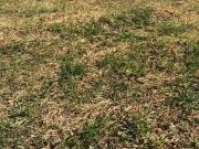 Terreno / Lote para Venda em Salvador/BA Alphaville II