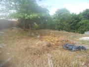 Terreno / Lote para Venda em Salvador/BA Patamares