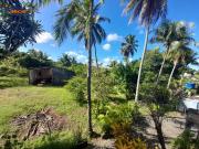 Terreno / Lote para Venda em Salvador/BA São Cristóvão