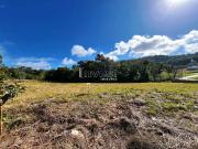 Terreno / Lote para Venda em Santa Cruz do Sul/RS Aliança