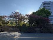 Terreno / Lote para Venda em Santa Cruz do Sul/RS Centro