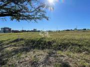 Terreno / Lote para Venda em Santa Cruz do Sul/RS Linha...