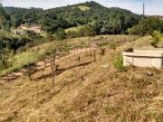 Terreno / Lote para Venda em Santa Isabel/SP Cachoeira