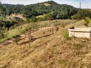 Terreno / Lote para Venda em Santa Isabel/SP Cachoeira