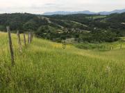 Terreno / Lote para Venda em Santa Isabel/SP Jardim...