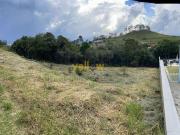 Terreno / Lote para Venda em Santa Isabel/SP Reserva...