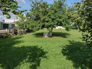 Terreno / Lote para Venda em Santa Maria/RS Camobi