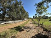 Terreno / Lote para Venda em Santa Maria/RS Camobi