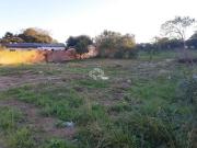 Terreno / Lote para Venda em Santa Maria/RS Juscelino...