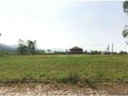 Terreno / Lote para Venda em Santa Maria/RS Pé de Plátano
