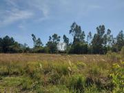 Terreno / Lote para Venda em Santa Maria/RS Pé de Plátano