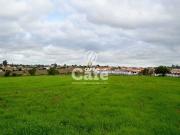 Terreno / Lote para Venda em Santa Maria/RS Pinheiro Machado
