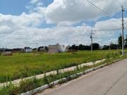 Terreno / Lote para Venda em Santa Maria/RS Pinheiro Machado