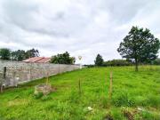 Terreno / Lote para Venda em Santa Maria/RS São José