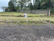 Terreno / Lote para Venda em Santa Maria/RS Tomazetti