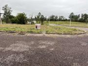Terreno / Lote para Venda em Santa Maria/RS Tomazetti