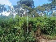 Terreno / Lote para Venda em Santana de Parnaíba/SP...