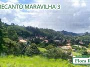 Terreno / Lote para Venda em Santana de Parnaíba/SP...