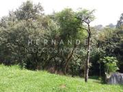 Terreno / Lote para Venda em Santana de Parnaíba/SP Tarumã
