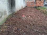 Terreno / Lote para Venda em Santo André/SP Sítio dos Vianas