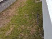 Terreno / Lote para Venda em Santo André/SP Vila Assunção