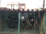 Terreno / Lote para Venda em Santo André/SP Vila Camilópolis