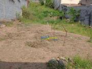 Terreno / Lote para Venda em Santo André/SP Vila Guaraciaba