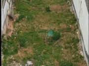 Terreno / Lote para Venda em Santo André/SP Vila Progresso