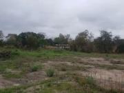 Terreno / Lote para Venda em Santo Antônio do...