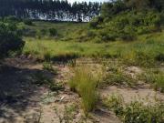 Terreno / Lote para Venda em Saquarema/RJ Bonsucesso Bacaxá