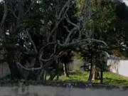 Terreno / Lote para Venda em Saquarema/RJ Itaúna