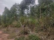 Terreno / Lote para Venda em Saquarema/RJ Jardim Ipitangas