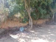 Terreno / Lote para Venda em Saquarema/RJ Leigos